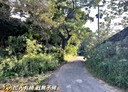 竹南鎮-東崎頂土地，2792.5坪