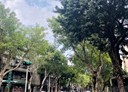 松山區-富錦街1房2廳，36.2坪