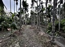 竹田鄉-忠義路土地，561.5坪