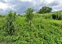 大溪區-石園段土地，759.9坪