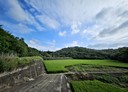 造橋鄉-土地，25335坪