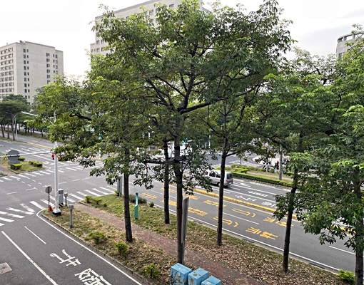 成大醫套房1廳1房1衛1廚 - Image 1