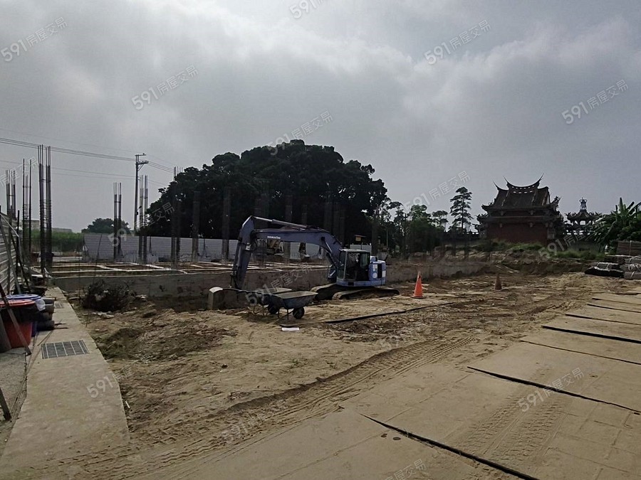 大麗心恬實景圖