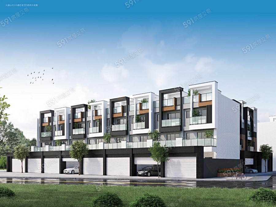 大麗心恬封面圖