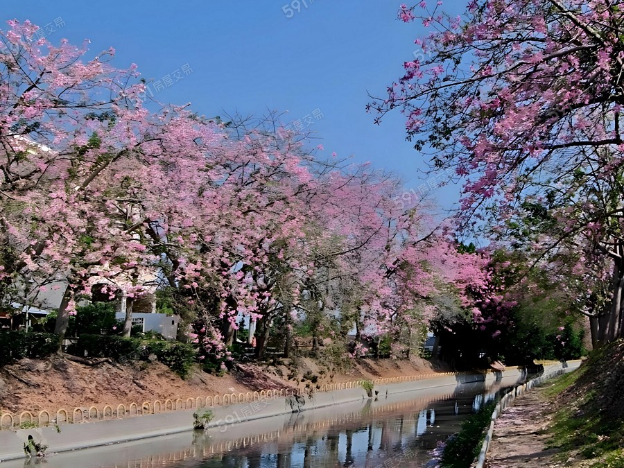 虹苑六星-電梯透天環境圖