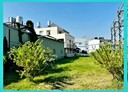 楠梓區-創新路土地，233.8坪