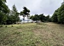 新社區-大南段土地，869.7坪