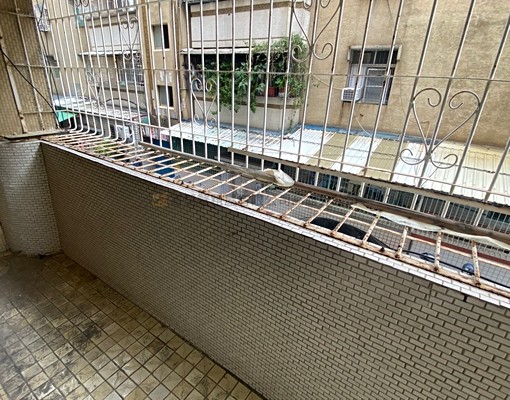 寄居蟹社會住宅🏠武慶二路免仲可補助3房 - 591租屋網 - Image 8