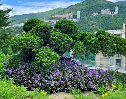 宏盛心新新大樓3房自租(可租補) - Image 3