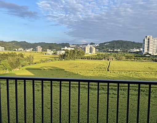 金獅重劃區-四房透天出租(可報稅租補) - Image 11