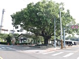 環境圖(7)