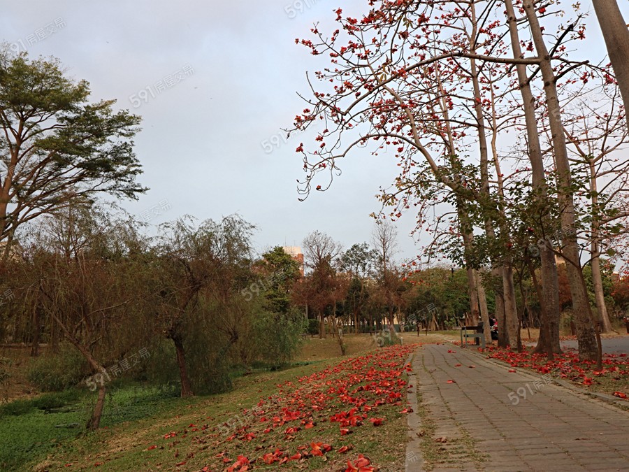 呈豐日日37期環境圖