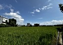 大雅區-昌平路四段土地，1756.7坪