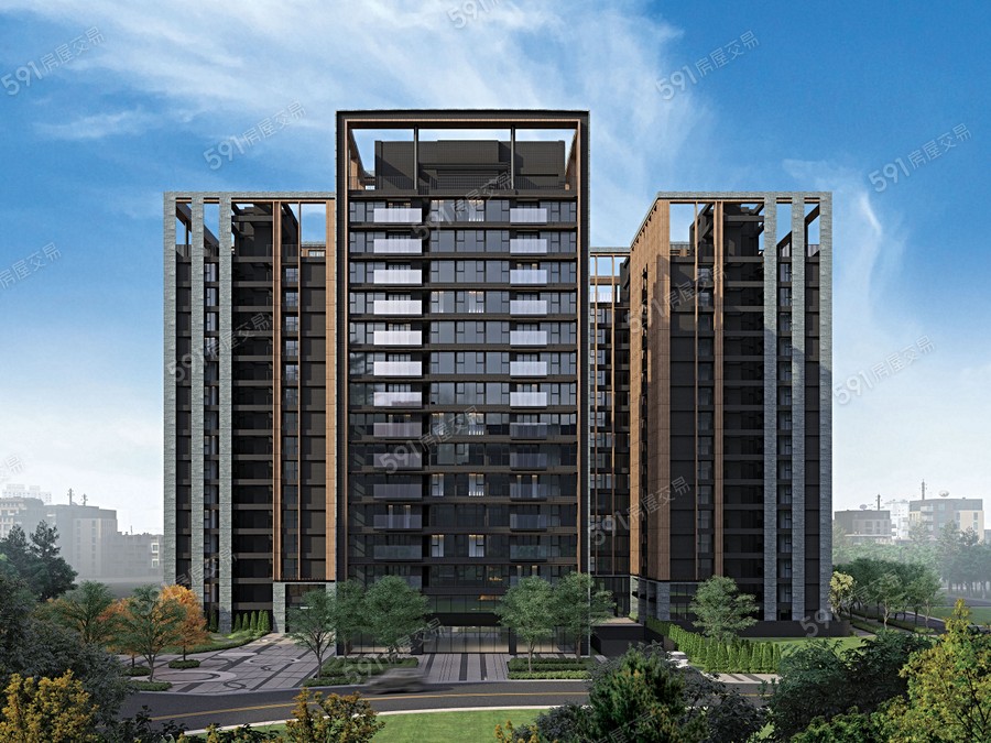 安美大望封面圖