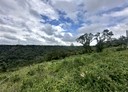 關西鎮-土地，816.4坪