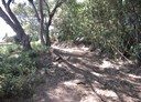 八里區-龍形五街土地，292.8坪