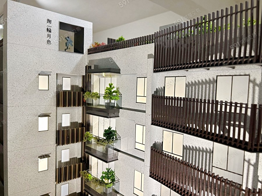 成熟大人示意圖