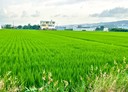 草屯鎮-土地，907.5坪
