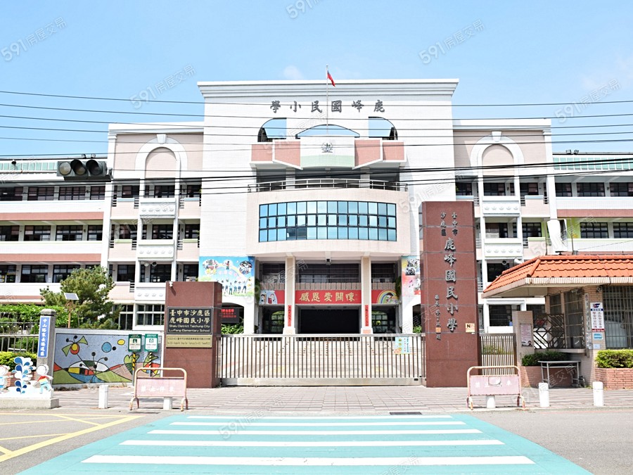 德光星綻環境圖