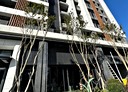 西屯區-福星北路2房2廳，31.2坪