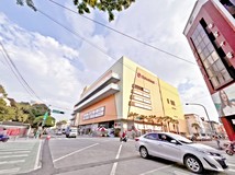 濟南街✨SOGO濟南74大地坪金..