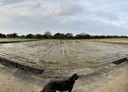 楊梅區-土地，824.3坪
