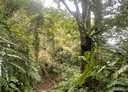 橫山鄉-內豐段土地，2858.6坪