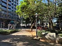 文化三路二段41巷獨家⚜️頭..