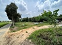 蘆竹區-龍安街二段土地，697坪