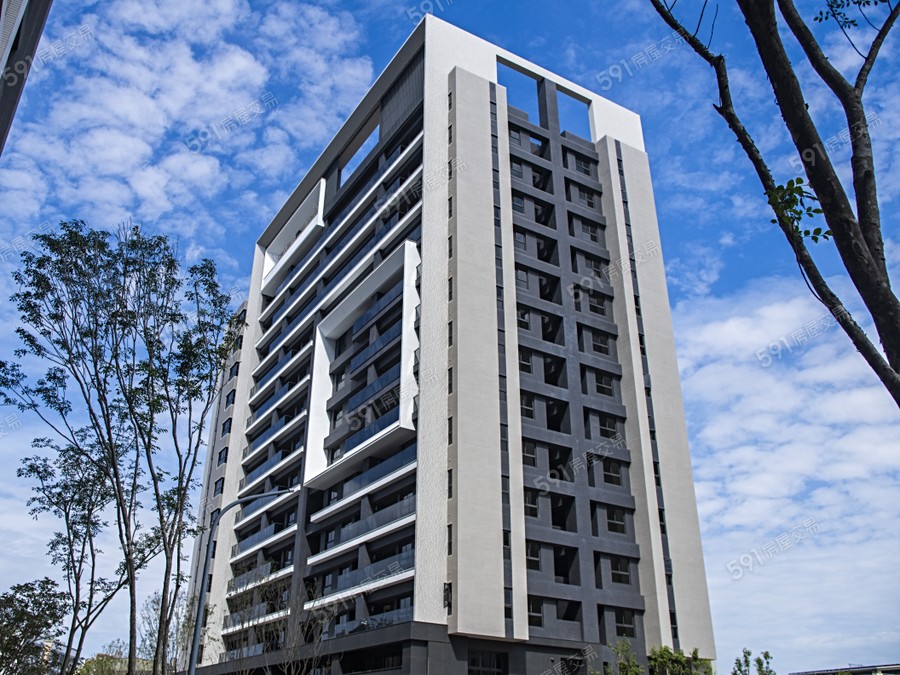 皇龍天品實景圖