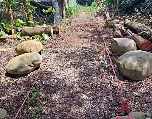 物件圖片