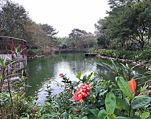 物件圖片