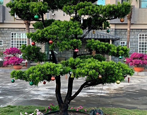 寧靜渡假風套房近南科(能配合不在室內抽煙歡迎看屋喔) - Image 8