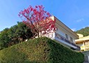 士林區-新安路5房3廳，104.7坪