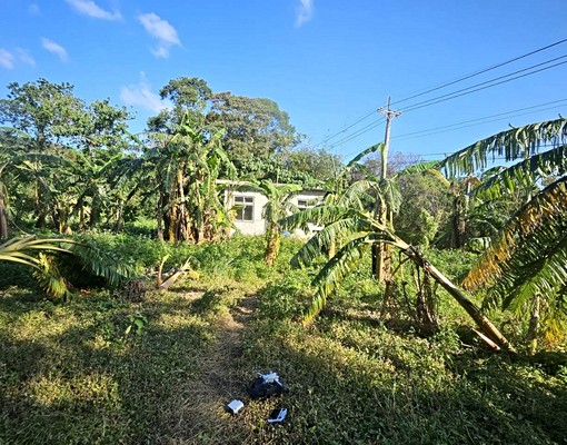 輕軌鄧公站農地合法資材室度假小菜園