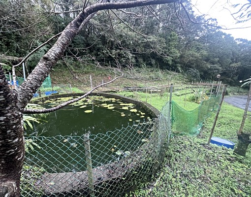物件圖片