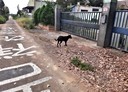 楊梅區-上湖五路廠房，54.2坪