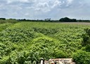 佳里區-土地，496.1坪