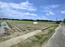 佳里區-土地，825.2坪
