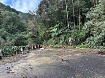 南勢坑專約-石碇方正美農林..