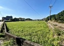 楊梅區-新明街土地，1137.4坪