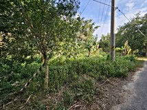 芎林平坦農地-双面路