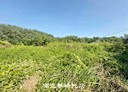 南區-土地，418.5坪