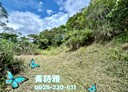新埔鎮-土地，2087坪