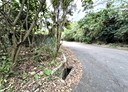 北投區-土地，690.9坪