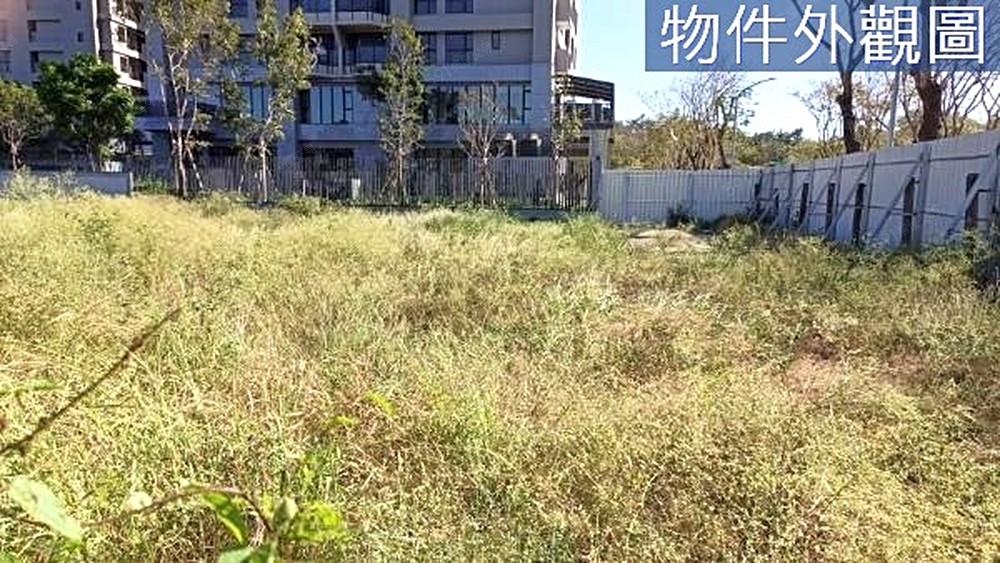 照片