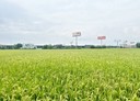草屯鎮-土地，1350.6坪