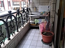 新民街120巷新民公園旁稀有..
