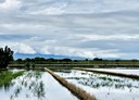 五結鄉-土地，776.3坪