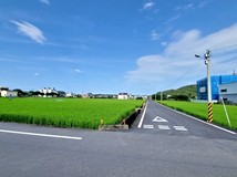 三星近安農溪雙面路角地
